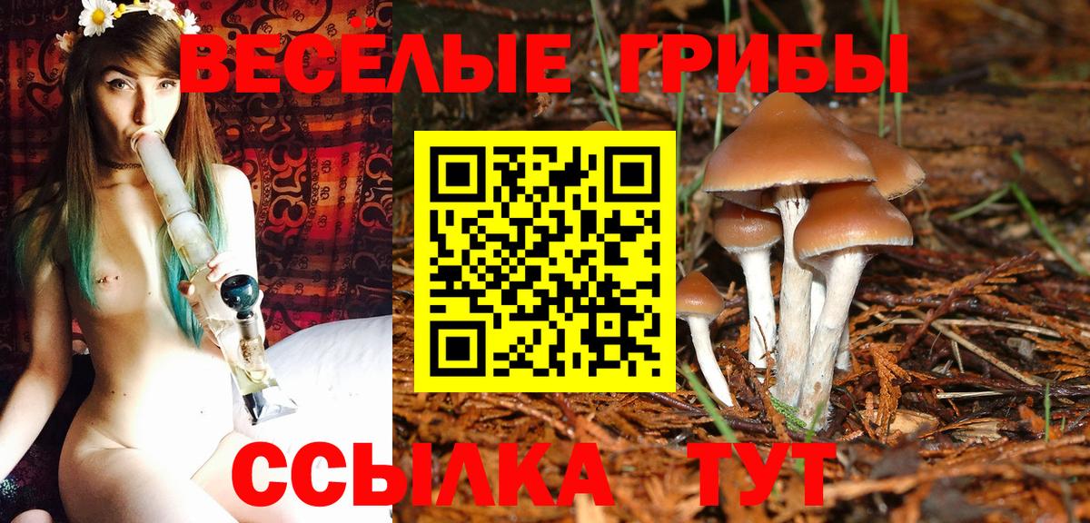 Псилоцибиновые грибы прущие грибы Стерлитамак
