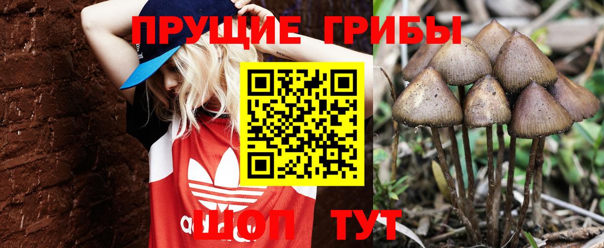 Псилоцибиновые грибы ЛСД  Галлюциногенные грибы ЛСД  Стерлитамак  Вход с VPN 